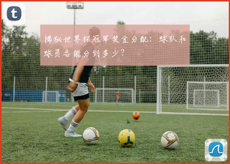 揭秘世界杯冠军奖金分配:球队和球员各能分到多少?
